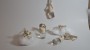 Treasures in a scent